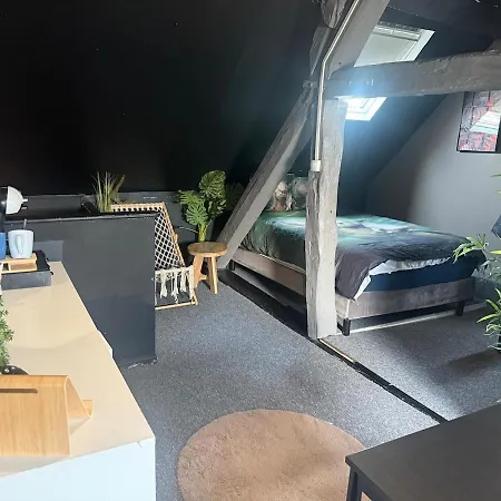 아파트 Star Wars Conde-Sainte-Libiaire